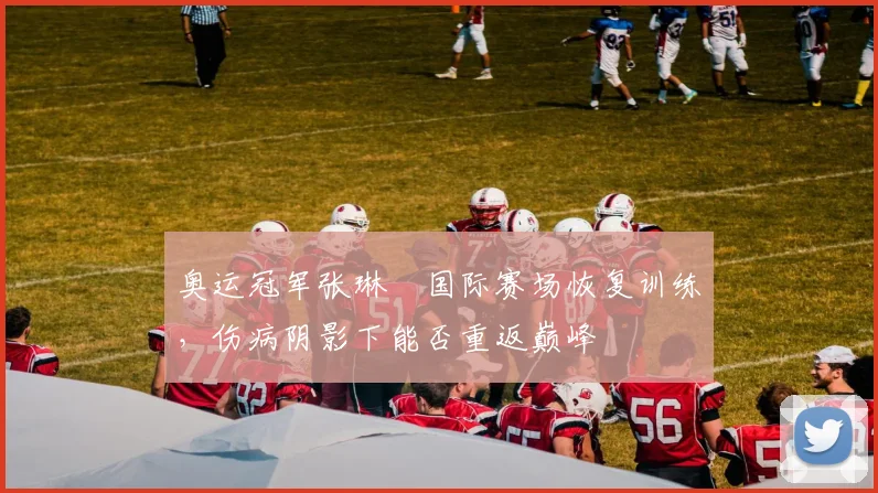 奥运冠军张琳芃国际赛场恢复训练,伤病阴影下能否重返巅峰