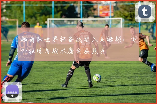 越南队世界杯备战进入关键期，海外拉练与战术磨合成焦点